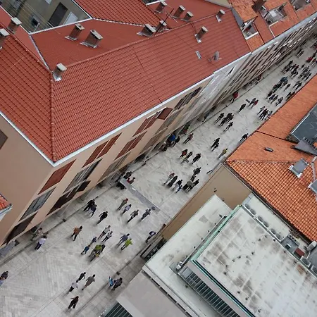 Jure * Zadar