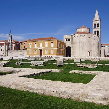 Jure Zadar
